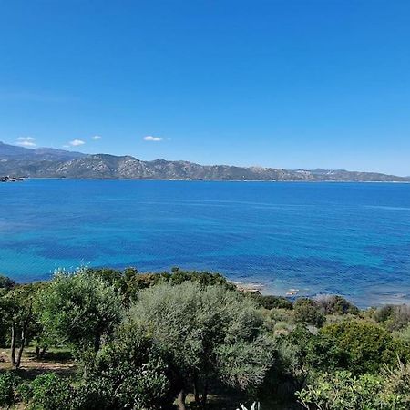 Appartement Sur La Baie De Saint Florent Patrimonio Exteriér fotografie