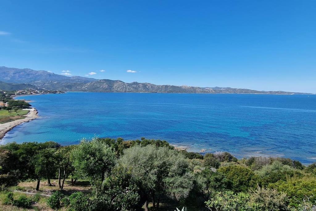 Appartement Sur La Baie De Saint Florent Patrimonio Exteriér fotografie