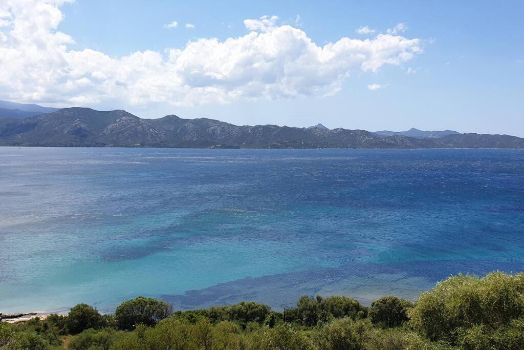 Appartement Sur La Baie De Saint Florent Patrimonio Exteriér fotografie
