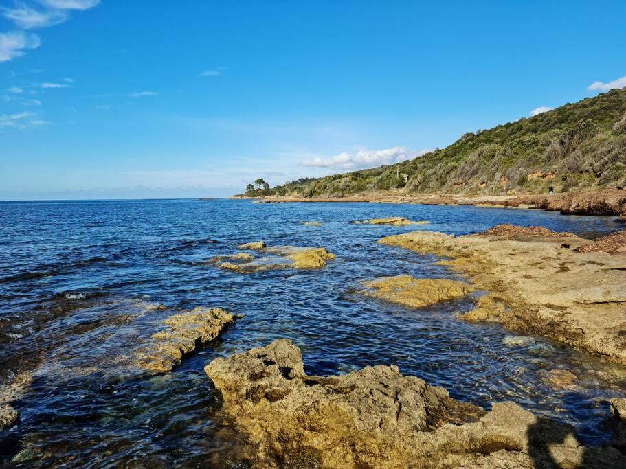 Appartement Sur La Baie De Saint Florent Patrimonio Exteriér fotografie