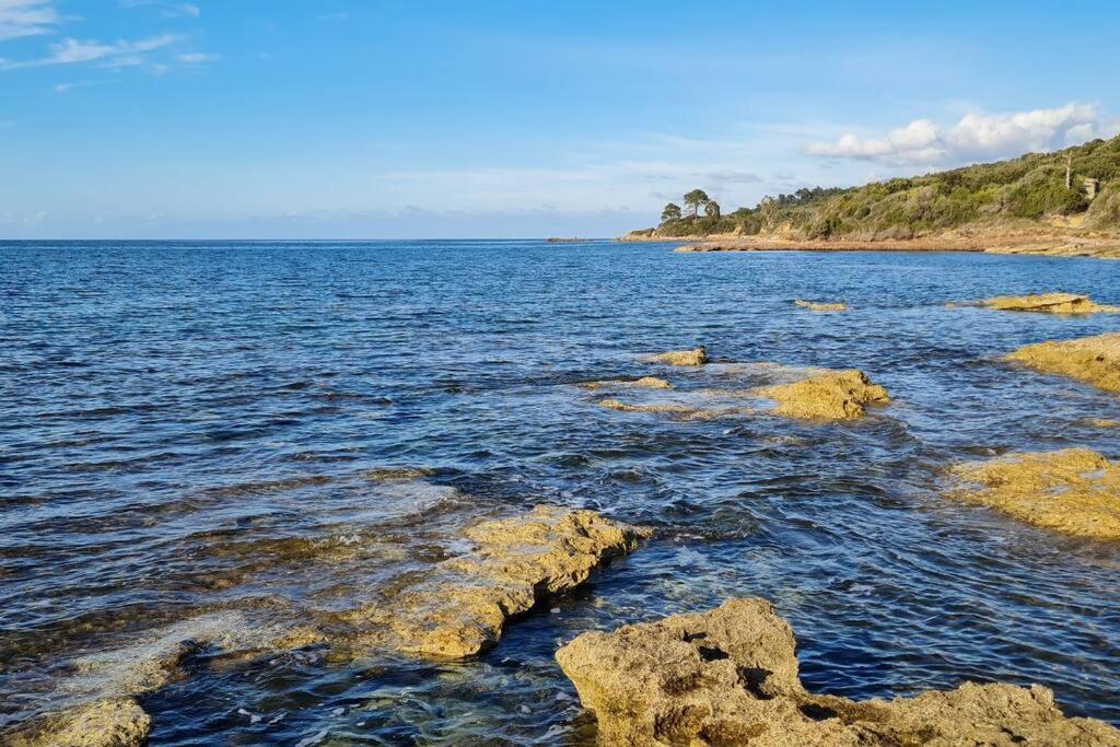 Appartement Sur La Baie De Saint Florent Patrimonio Exteriér fotografie