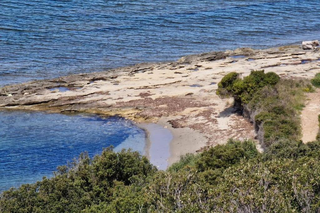 Appartement Sur La Baie De Saint Florent Patrimonio Exteriér fotografie