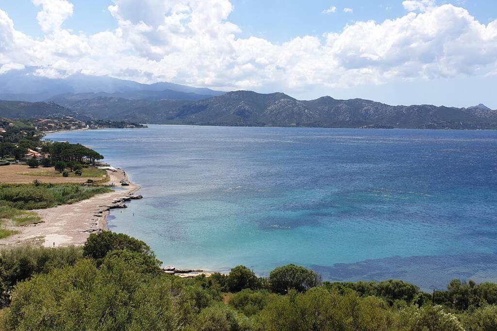Appartement Sur La Baie De Saint Florent Patrimonio Exteriér fotografie