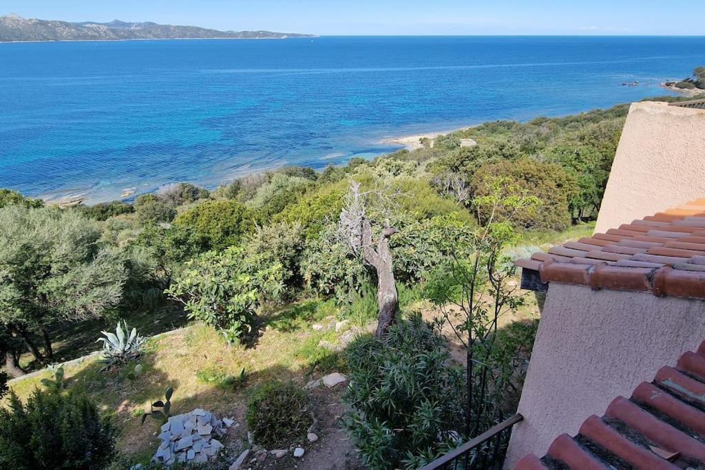 Appartement Sur La Baie De Saint Florent Patrimonio Exteriér fotografie