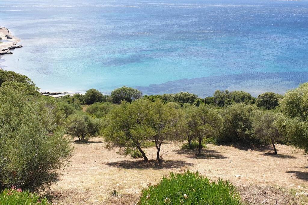 Appartement Sur La Baie De Saint Florent Patrimonio Exteriér fotografie